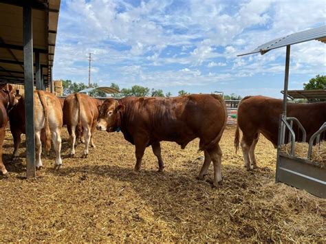 La Unió insiste a Agricultura sobre la necesidad de ayudas para los