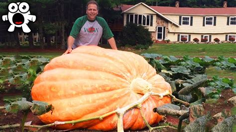 Worlds Largest Vegetables