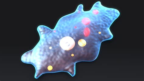 3d Amoeba Protists Organism