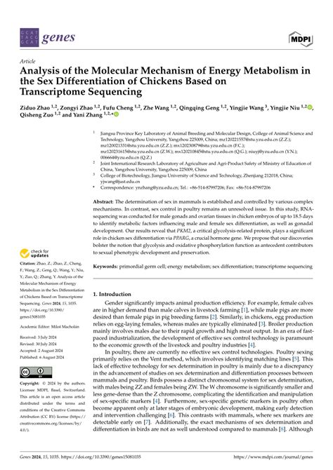 PDF Analysis Of The Molecular Mechanism Of Energy Metabolism In The Sex Differentiation Of