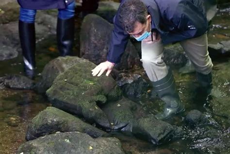 Acude Al Arroyo A Pescar Truchas Y Lo Que Encuentra Entre Las Piedras