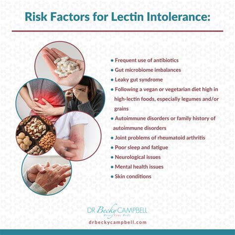 Lectins And Histamine Intolerance The Answer To Your Symptoms Dr Becky Campbell