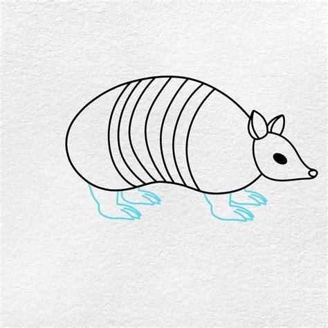 How To Draw An Armadillo Helloartsy