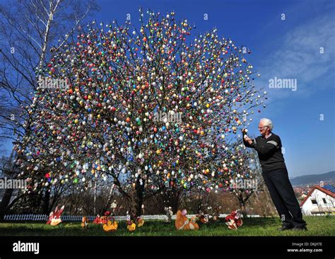 Pensioner Volker Kraft Decorates An Apple Tree With 10 000 Colorful