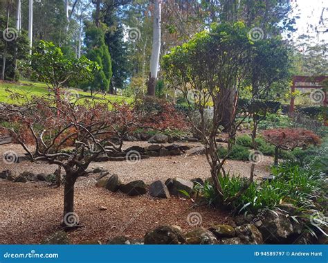 Tamborine Mountain Botanic Gardens Stock Image Image Of Path