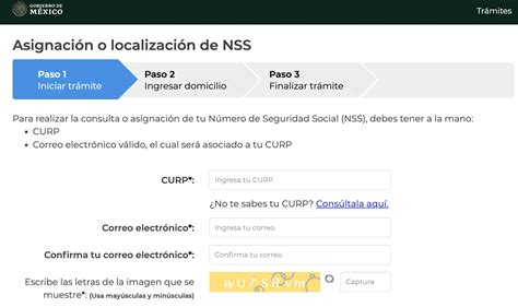 Cómo tramitar o localizar tu NSS en línea Paso a paso obtén tu número