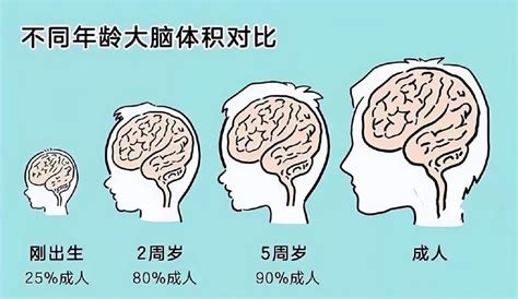 0 3岁大脑发育高峰，才是语言发育迟缓康复关键期