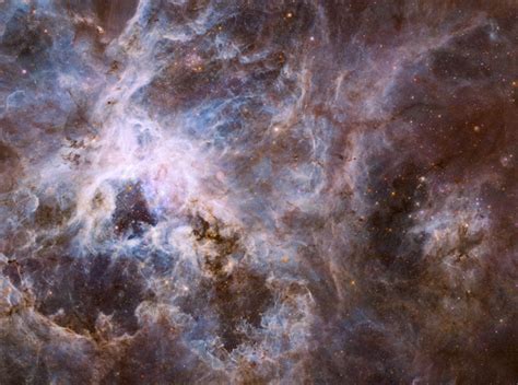 ESA Science & Technology - Hubble optical view of the Tarantula Nebula