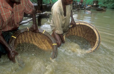 Gem mining areas in sri lanka.