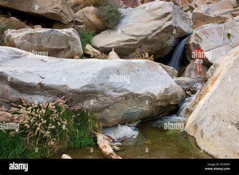 A Hiker Enjoys A Waterfall At The First Palm Oasis Borrego Palm Canyon