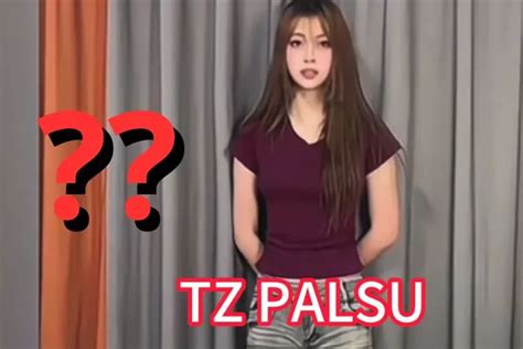 Video Permintaan Maaf Tan Zhu Palsu Begini Penjelasan Youtuber Rudy