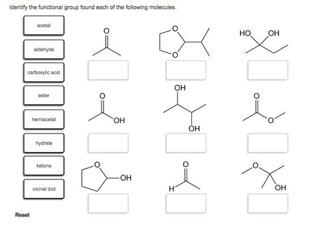 Solved Identify The Functional Group Found Each Of The Chegg