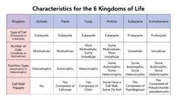 Characteristics of the 6 Kingdoms of Living Things | Chart | Study Tool