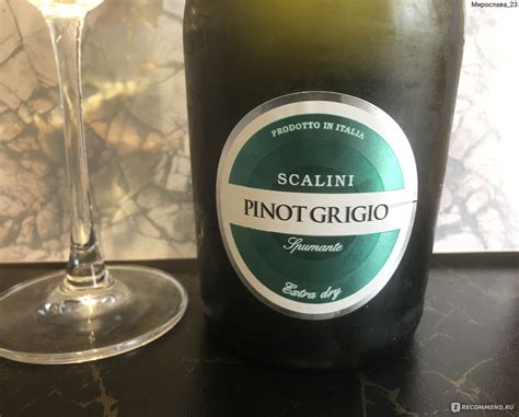 Вино игристое белое брют Scalini Pinot Grigio Spumante - «Отличное вино ...