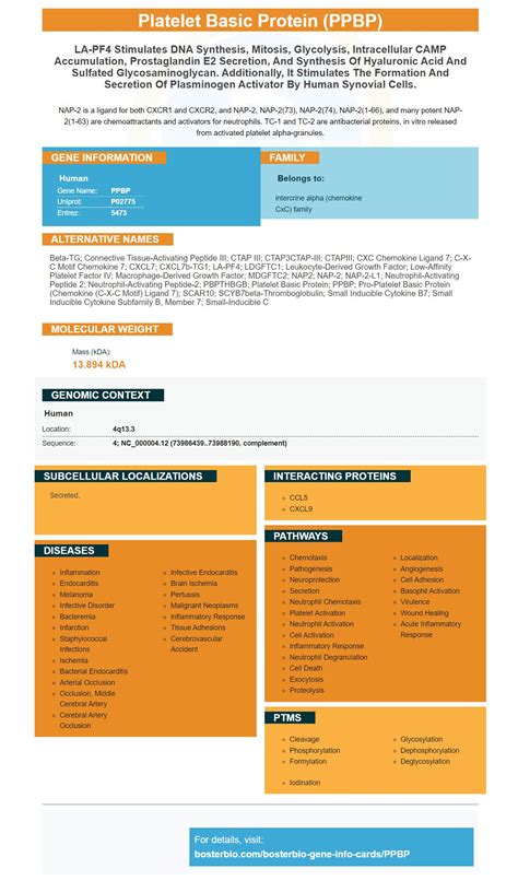 PPBP Antibodies & ELISA Kits, PPBP Proteins