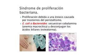 SINDROME DE MALABSORCION Generalidades Y Conceptos Basicos PPT