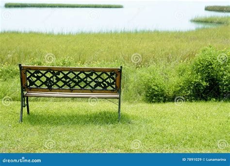 Bench Over The Green Grass On The Lake Stock Image Image Of Grass