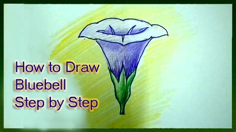 Blue Bell Flower Drawing | Best Flower Site