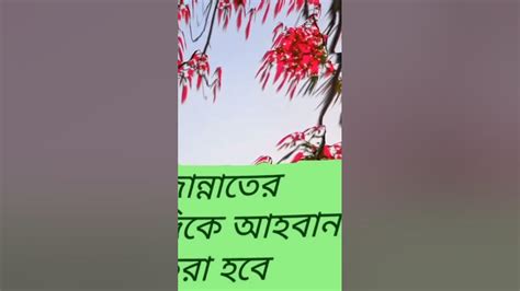 কিয়ামতের দিন সর্ব প্রথম যাদেরকে জান্নাতের দিকে আহবান করা হবে Youtube