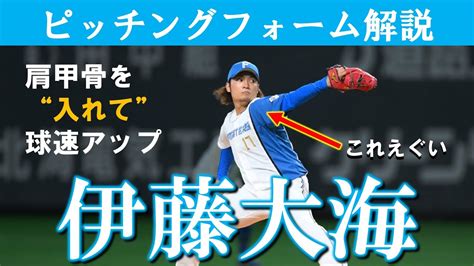 【日本ハム】伊藤大海選手のピッチングフォーム肩甲骨の柔らかさで球速アップ【ファイターズ】 Youtube