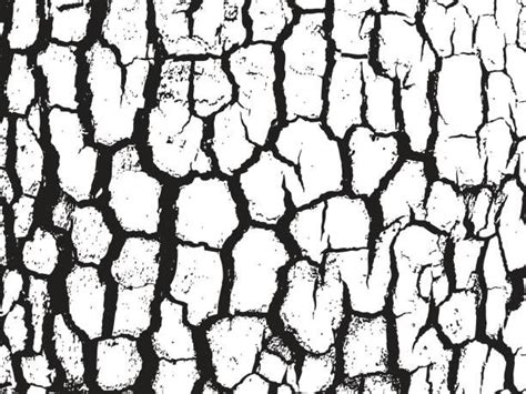 Bark Texture Vector Image In Black And White