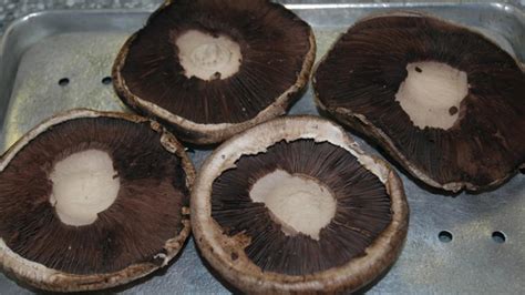 Stuffed Portabella Mushrooms Recipe - Food.com