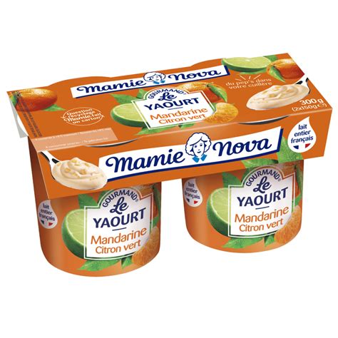 Gourmand Yaourt Mandarine Citron Vert X G Andros Foodservice