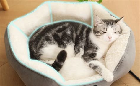 Amazon MARUNDA Heated Cats Bed For Indoor Use Electric Cats