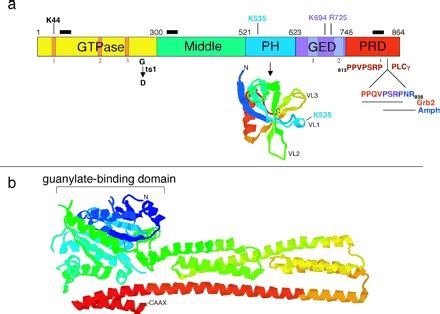 Figure Schematic Diagram Of The Domains Annual Reviews