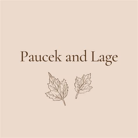 Various Artists Paucek And Lage On Traxsource