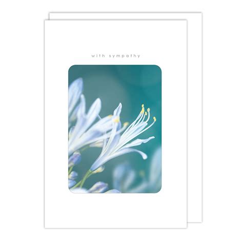 Catch Publishing White Petals Symathy Card Cnc223379