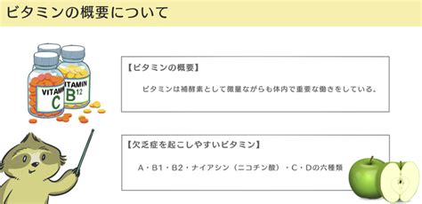 【臨床医学】図解イラストとゴロ合わせで「ビタミン欠乏症・過剰症」徹底解説｜森元塾 国家試験対策