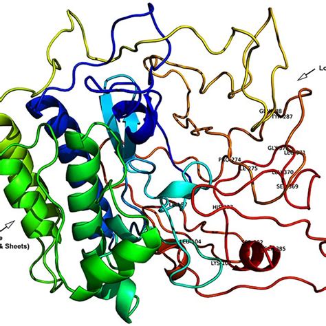 A RMSD Plot Of Protein Ligand And Complex B RMSF Plot Of Protein