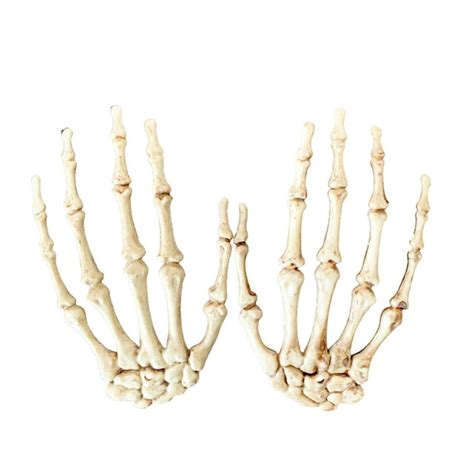 Jikolililili Halloween Skeleton Hand Bones Claw Decoration Skeleton ...