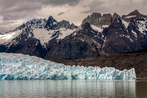 Premium Photo | Grey glacier torres del paine national park chile