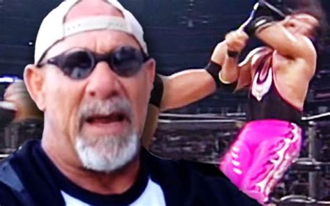 Goldberg References Bret Hart Kick While Speaking About Entertainment