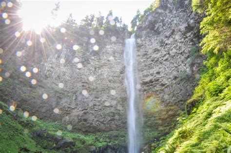 Umpqua Hot Springs How To Get There What To Expect Go Wander Wild