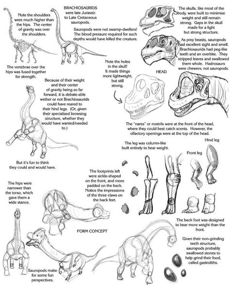 Sauropod tutorial by droemar on deviantart – Artofit