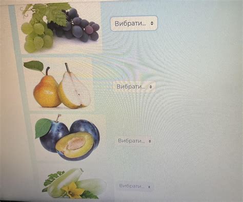 Помогите пожалуйста с заданием по биологии Визначте відповідність між ...