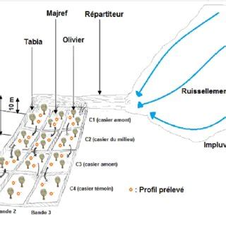 Sch Ma Repr Sentatif Du Syst Me Meskat Et Du Dispositif Exp Rimental