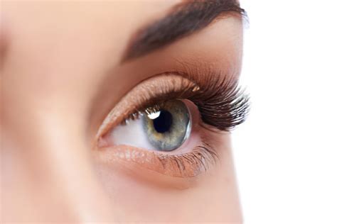 Eyelash Extension Class Hollywood Makeup School Los Angeles San Diego