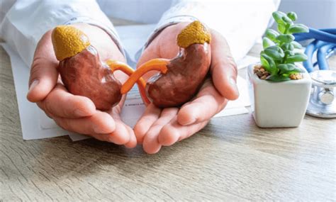 Largest Kidney Stone Causes Symptoms And Treatment