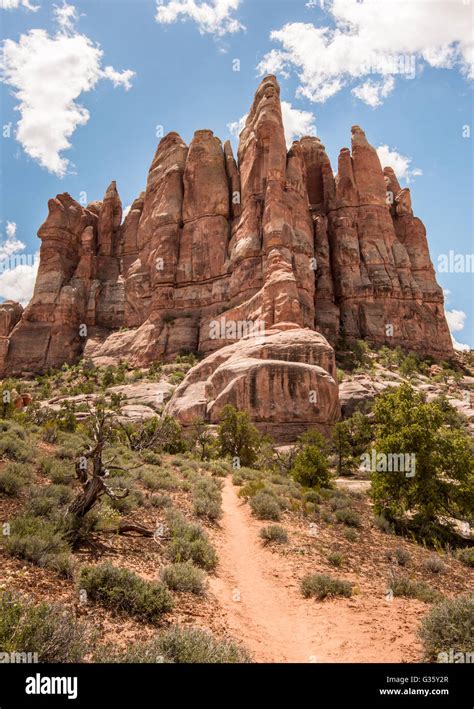 Elephant Hill Chesler Park Trail Leading Towards The Fins In A Red Rock