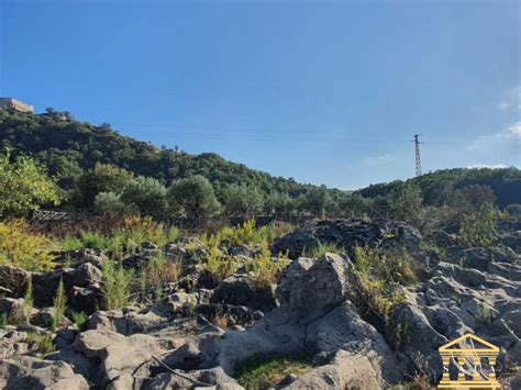 Terreno Agricolo Sp I Castiglione Di Sicilia Rif