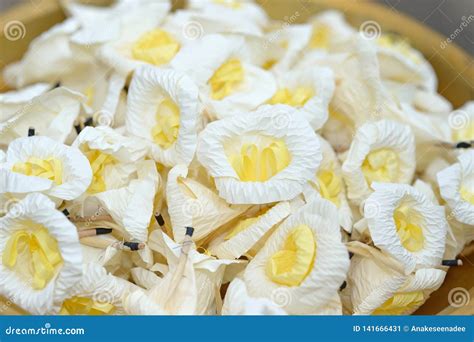 Sandalwood Flowers Stock Image Image Of Aroma Sandalwood 141666431