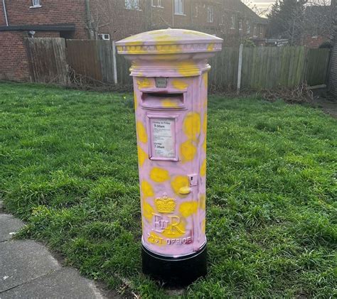 Suspected Accused Of Painting Postboxes In Temple Hill In Dartford Has