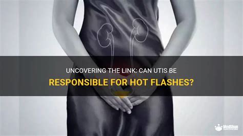 Uncovering The Link Can Utis Be Responsible For Hot Flashes Medshun