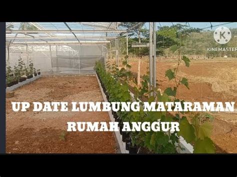 Lumbung Mataraman Part 2 YouTube