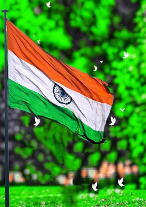 Indian Flag Independence Day 15 August Photo Editing Background CBEditz