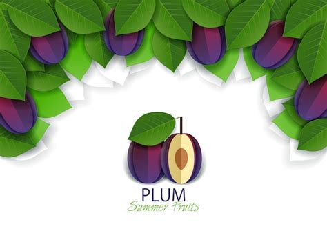 Moldura De Fundo De Fruta De Ameixa Madura Cortada De Papel Vetorial